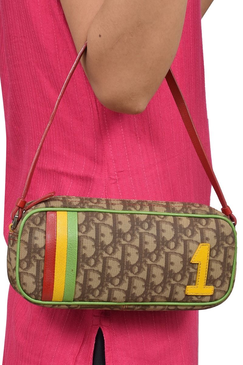 multicolor dior oblique canvas
