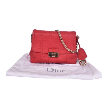 CHRISTIAN DIOR CANNAGE DIORLING SHOULDER BAG