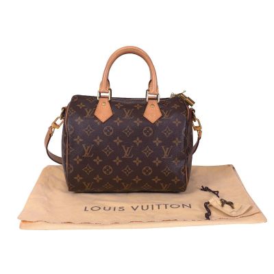 Review of the Adorable Louis Vuitton Speedy 25 - Lollipuff