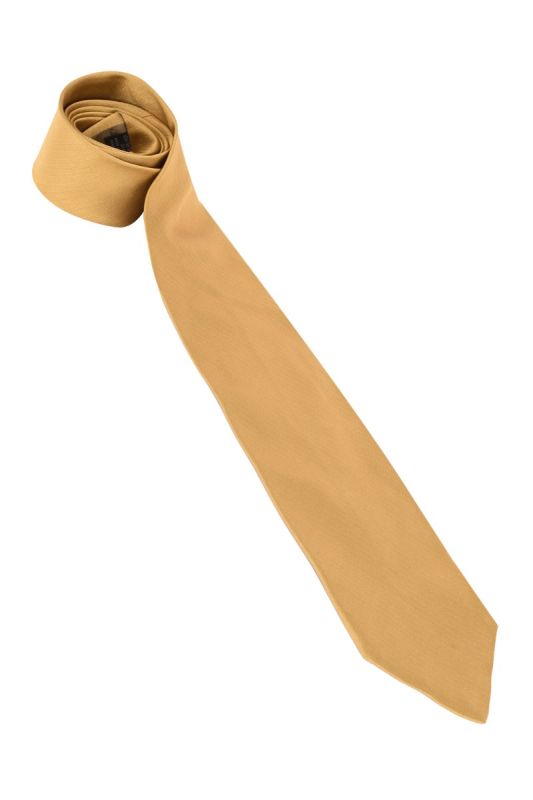 ARMANI COLLEZIONI GOLDEN TIE