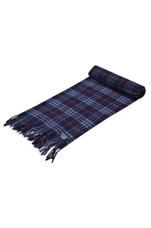 Burberry Blue Checkered Scarf