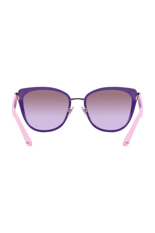 Chloe Dafne Sunglasses