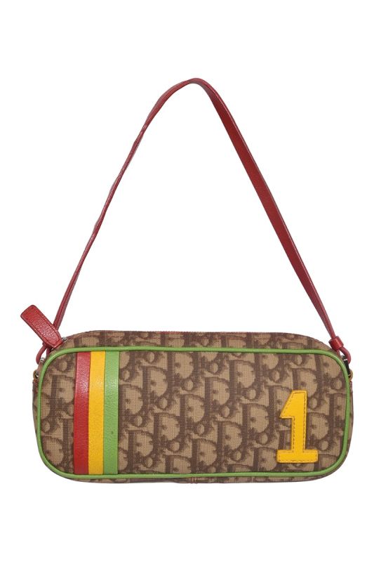 Christian Dior Multicolor Oblique Coated Canvas