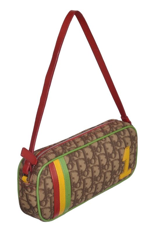Christian Dior Multicolor Oblique Coated Canvas