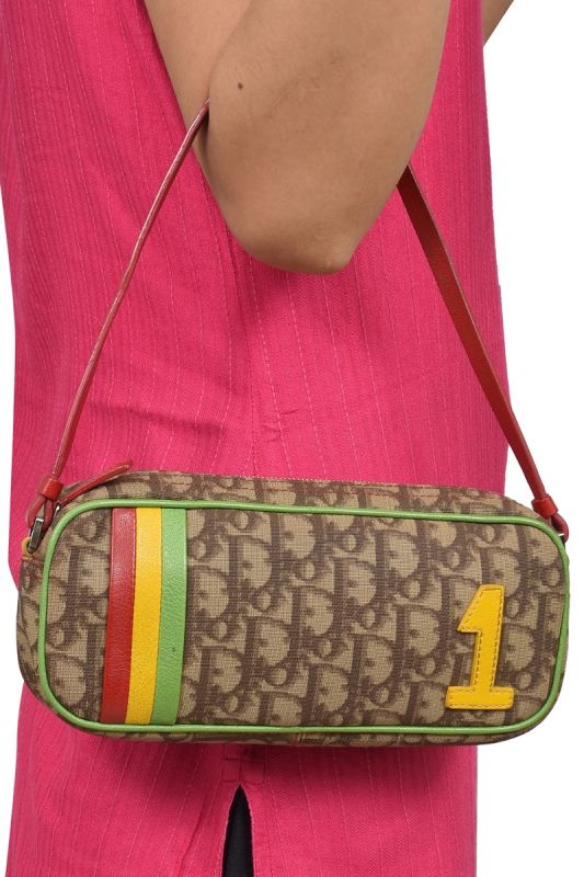 Christian Dior Multicolor Oblique Coated Canvas