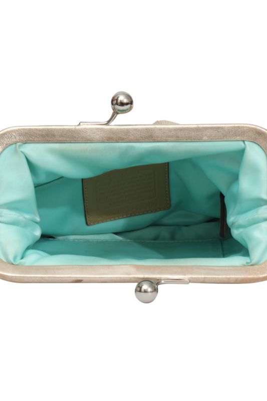 Coach Bonnie Straw Demi Clutch Bag