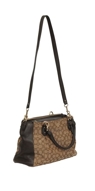 Coach Canvas and Leather Eta Carryall Bag