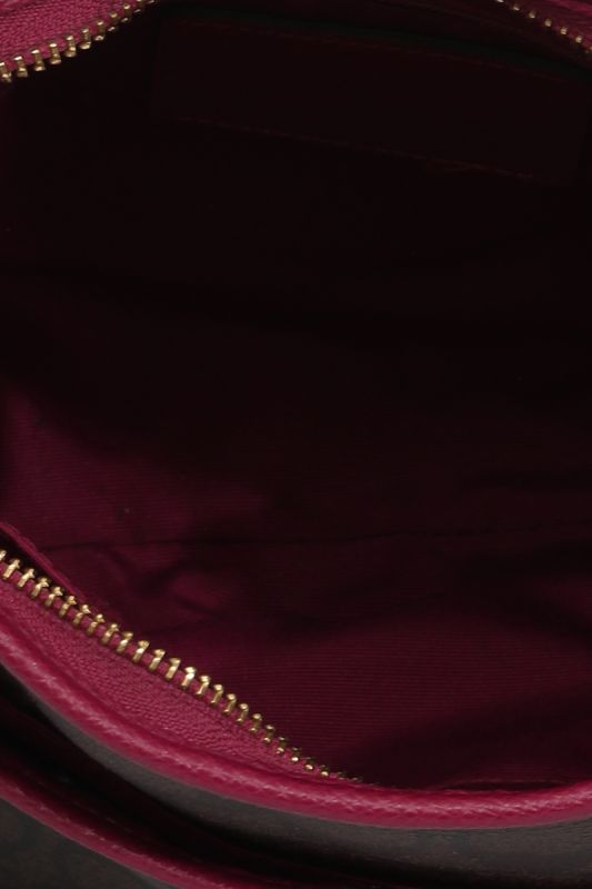 Coach Monogram Canvas Side Bag