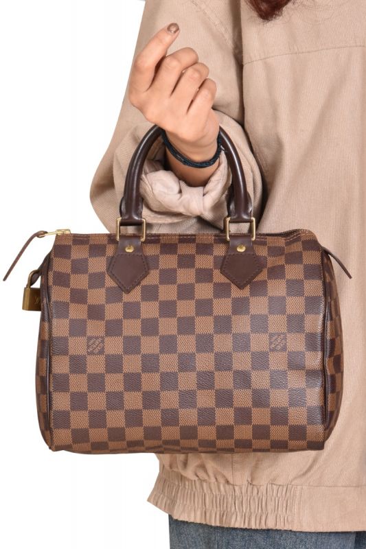 Louis Vuitton Damier Ebene Speedy 25 Handbag