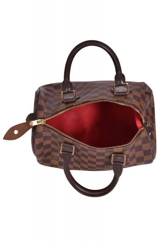 Louis Vuitton Damier Ebene Speedy 25 Handbag