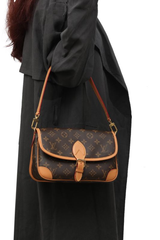 Louis Vuitton Diane Monogram Bag