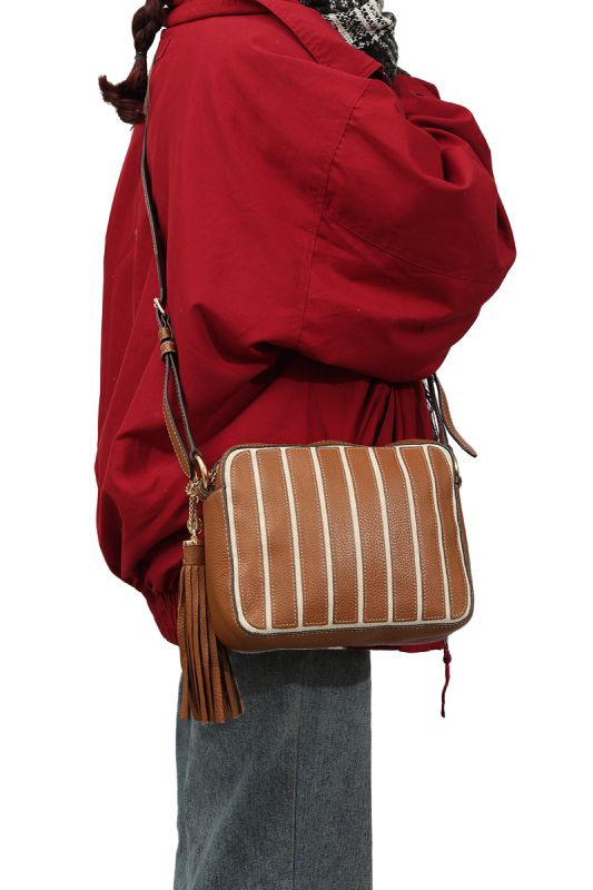 Michael Kors Brookyln Striped Camera Bag