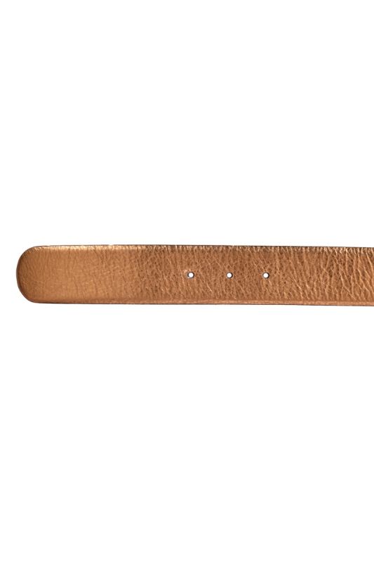 Roberto Cavali Golden Snake Buckle Belt