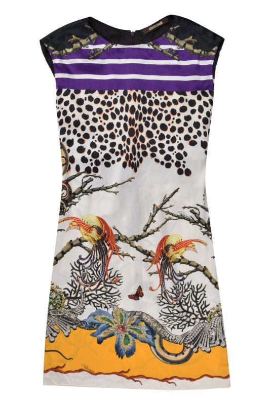 Roberto Cavalli Printed Dress