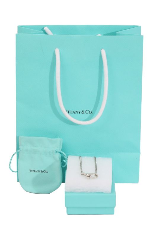 Tiffany & Co. Large Charm Locket Necklace
